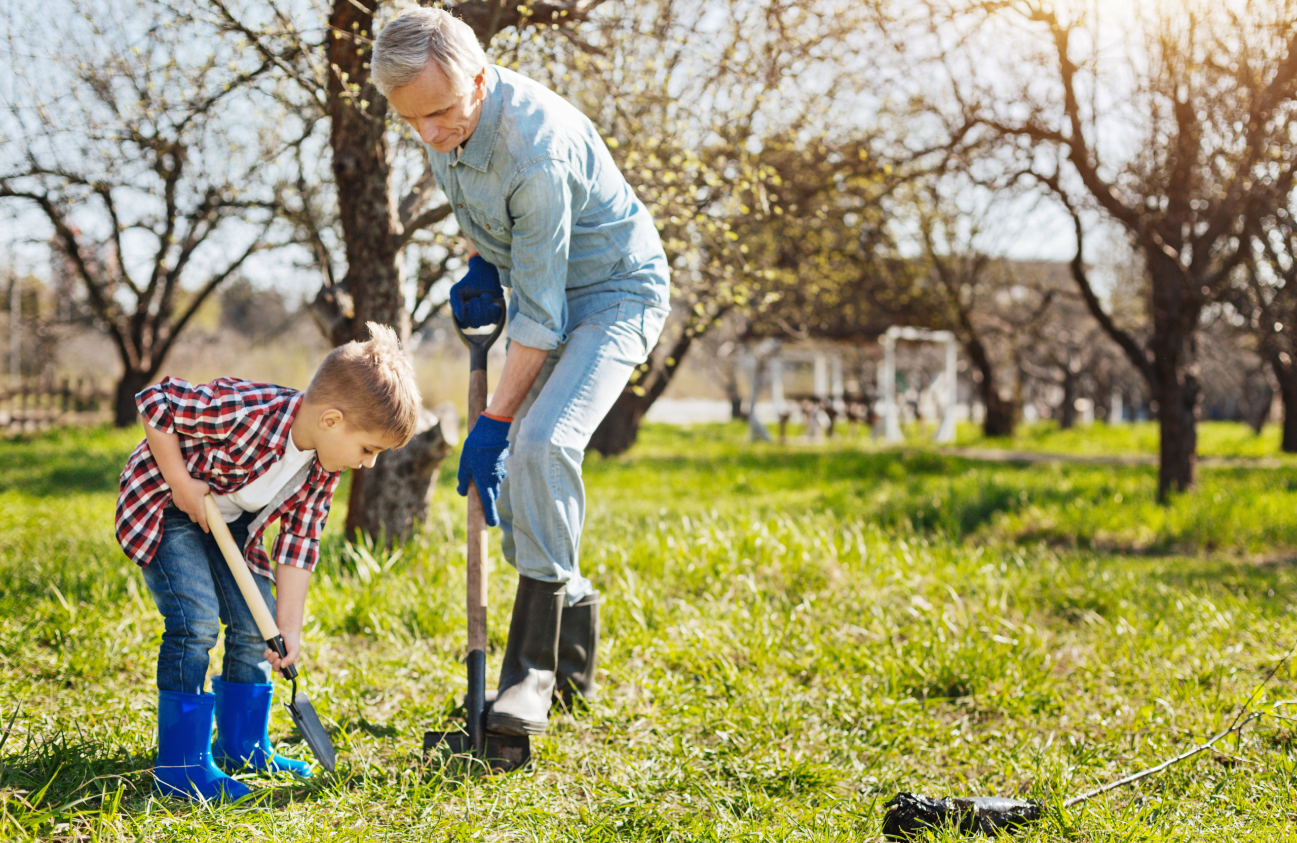 Real men labour. Granddad and his grandson both wearing rubber boots enjoying spring days while working in a garden and digging a hole in the ground