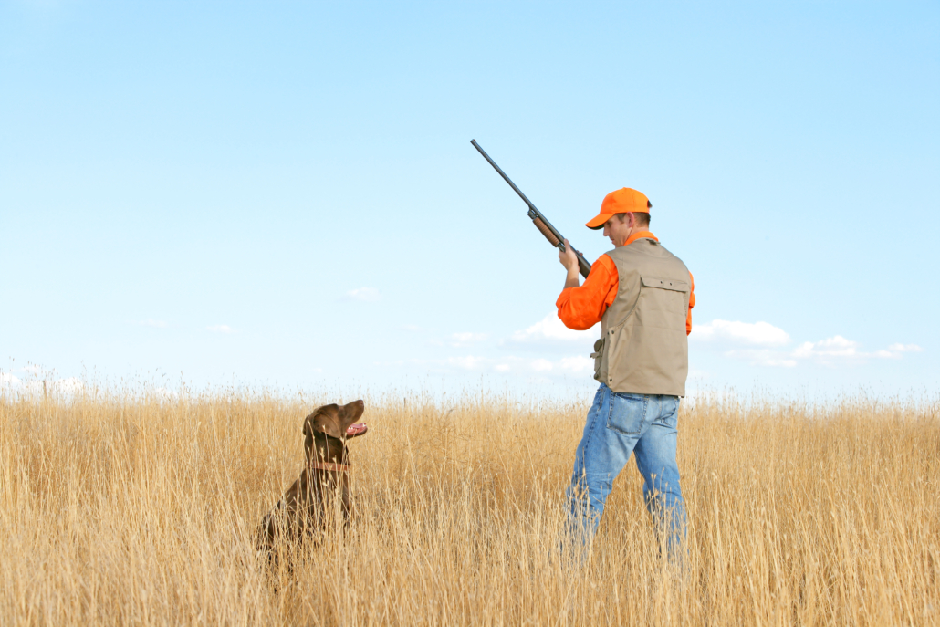 A pheasant, chukar, partridge, grouse, dove or quail hunter.